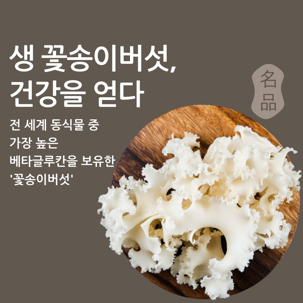 꽃송이버섯 1kg 친환경/무농약 생꽃송이버섯 베타글루칸 43.6%
