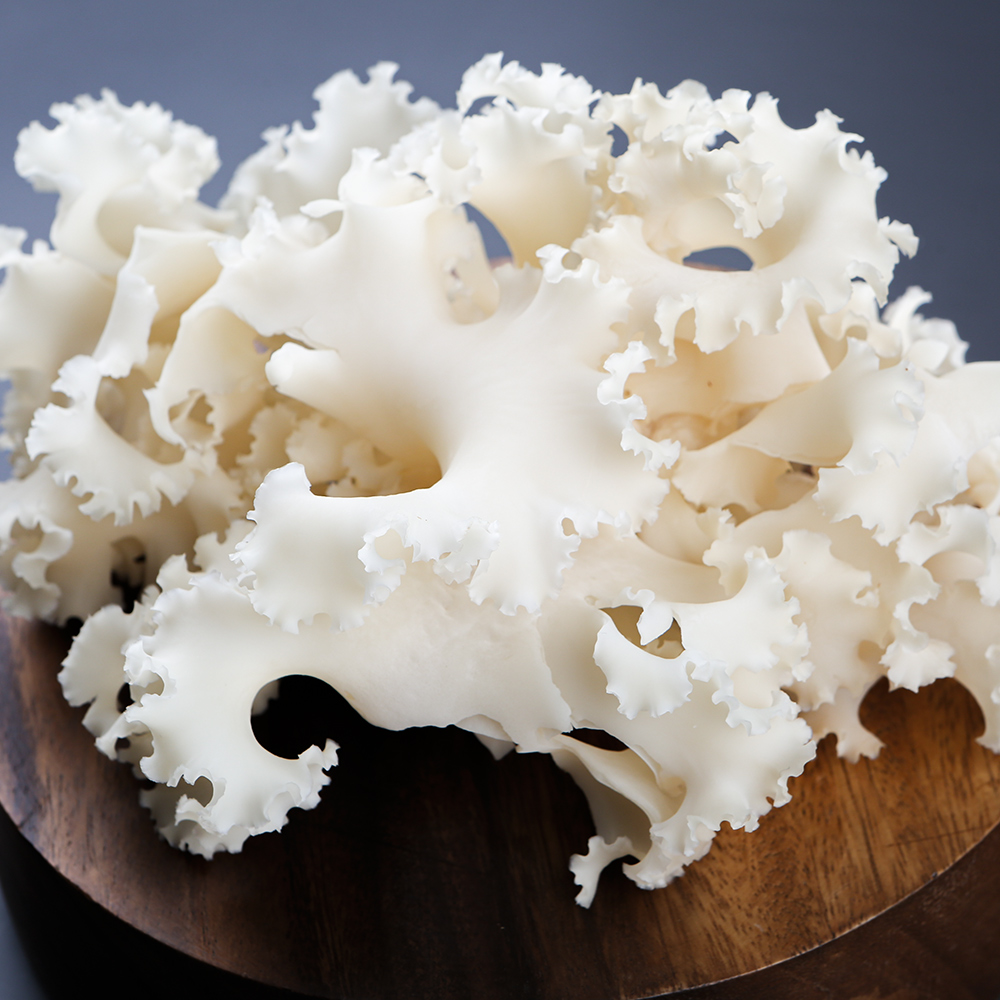 꽃송이버섯 1kg 친환경/무농약 생꽃송이버섯 베타글루칸 43.6%