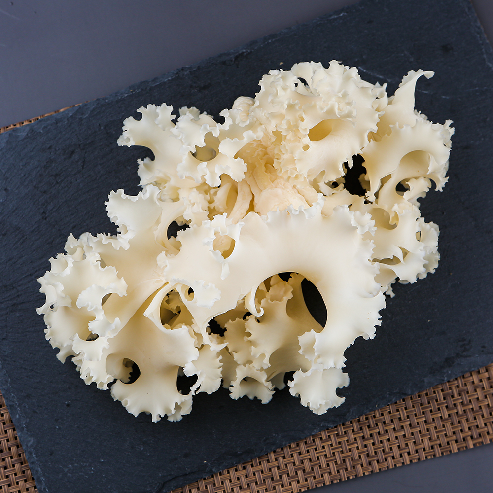 꽃송이버섯 1kg 친환경/무농약 생꽃송이버섯 베타글루칸 43.6%