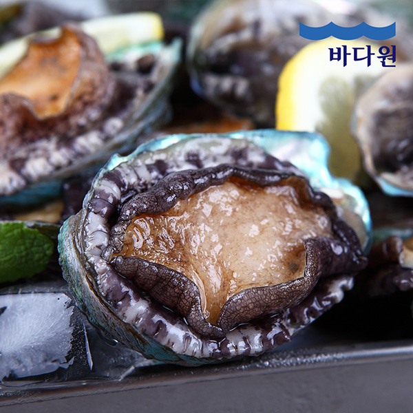 바다원 산지직송 완도 활전복 1kg 싱싱한 전복