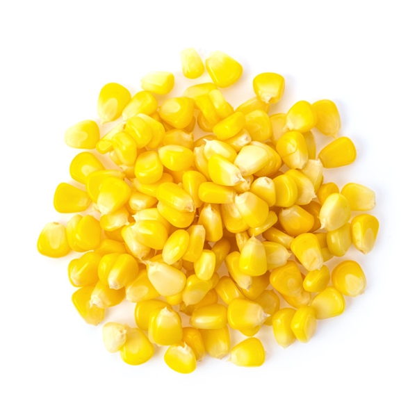 Non-GMO 해남 프리미엄 달콘초당옥수수 10개 20개