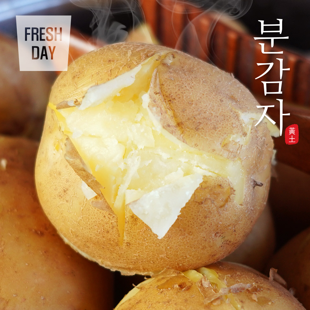 포슬포슬 쫀득한 고창 고급 분감자 구이/조림용/정품 (3kg/5kg/10kg)