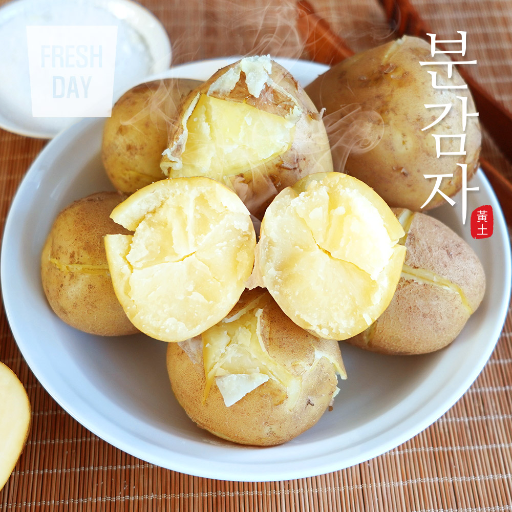 포슬포슬 쫀득한 고창 고급 분감자 구이/조림용/정품 (3kg/5kg/10kg)
