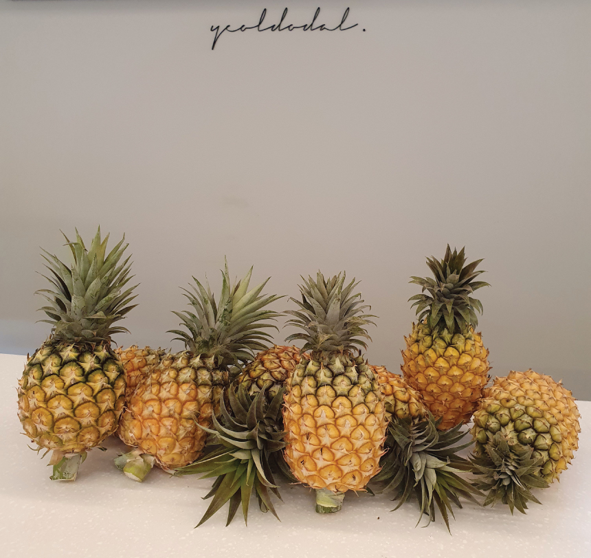 [열두달] 신제품 국산 무농약 파인애플 청