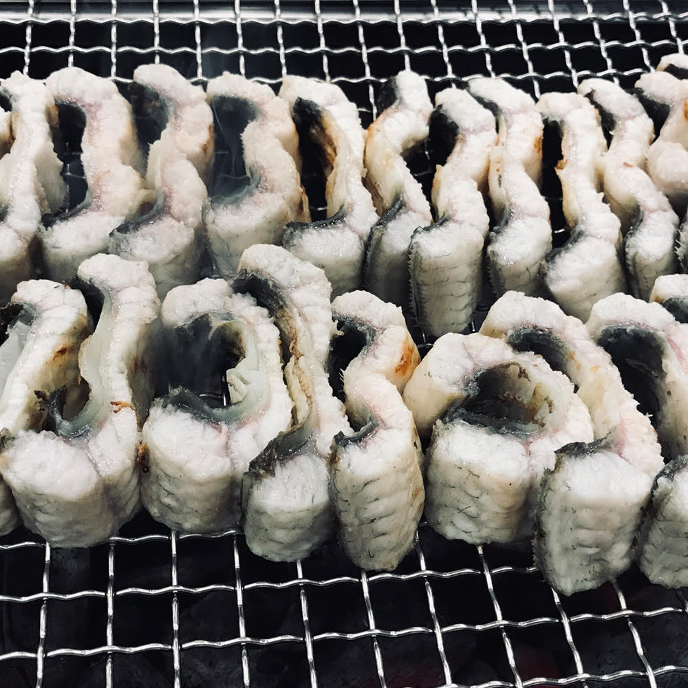 고창산 자포니카품종 풍천 민물장어  350g~2.05Kg