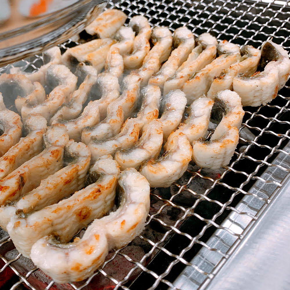 고창산 자포니카품종 풍천 민물장어  350g~2.05Kg