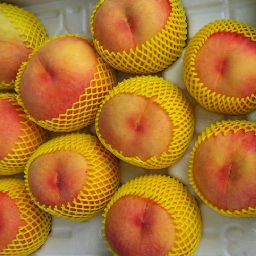 황금빛 속살의 대황도 복숭아 4kg