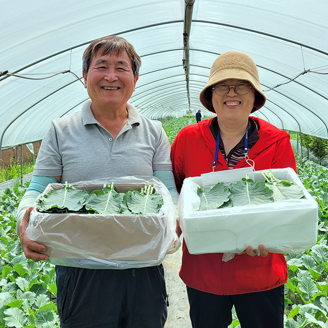 여주 유기농 쌈케일 1kg