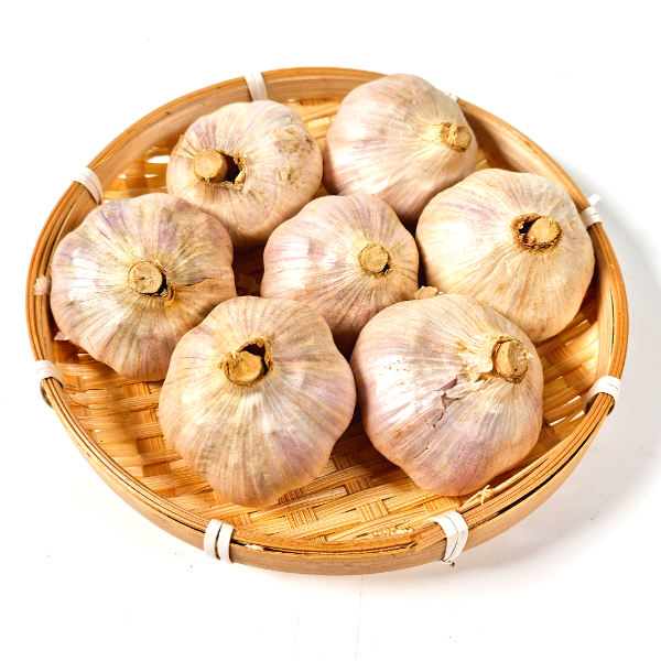 제주 천연암반수 홍산 햇마늘 3Kg 5Kg 10Kg 