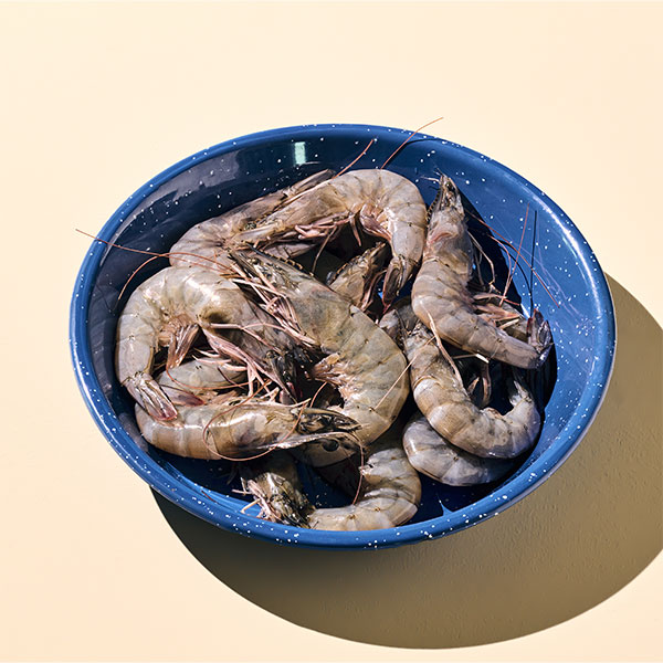 국내산 흰다리 생새우(500g 내외)