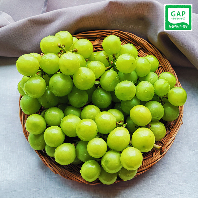 샤인머스켓 씨없는청포도 망고포도 선물세트 (1.3kg/2kg)