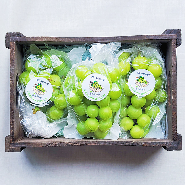 샤인머스켓 씨없는청포도 망고포도 선물세트 (1.3kg/2kg)