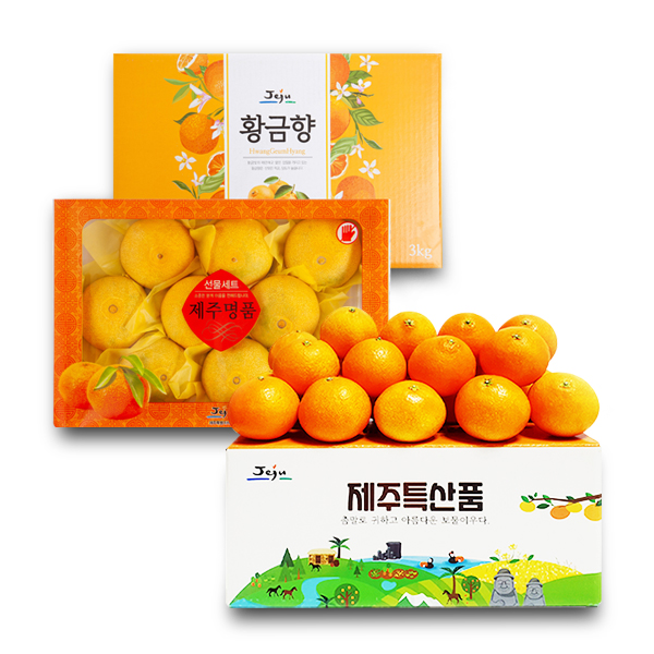 블루제주 서귀포 황금향 선물세트 3kg/5kg 