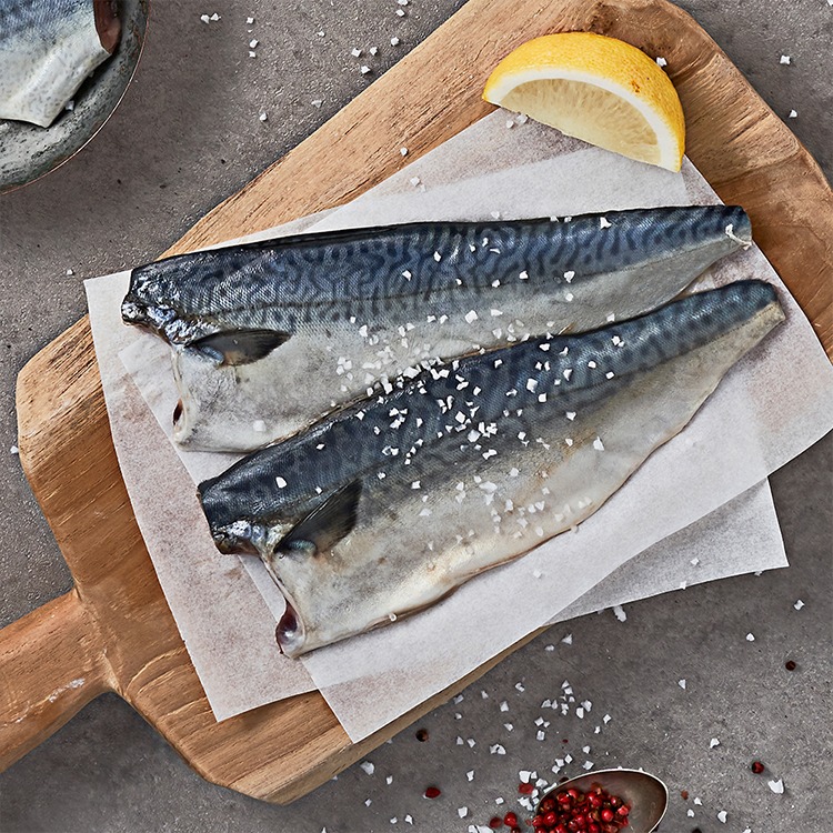 제주어멍 고등어살 선물세트 4종 옵션 (냉동/제주직송)