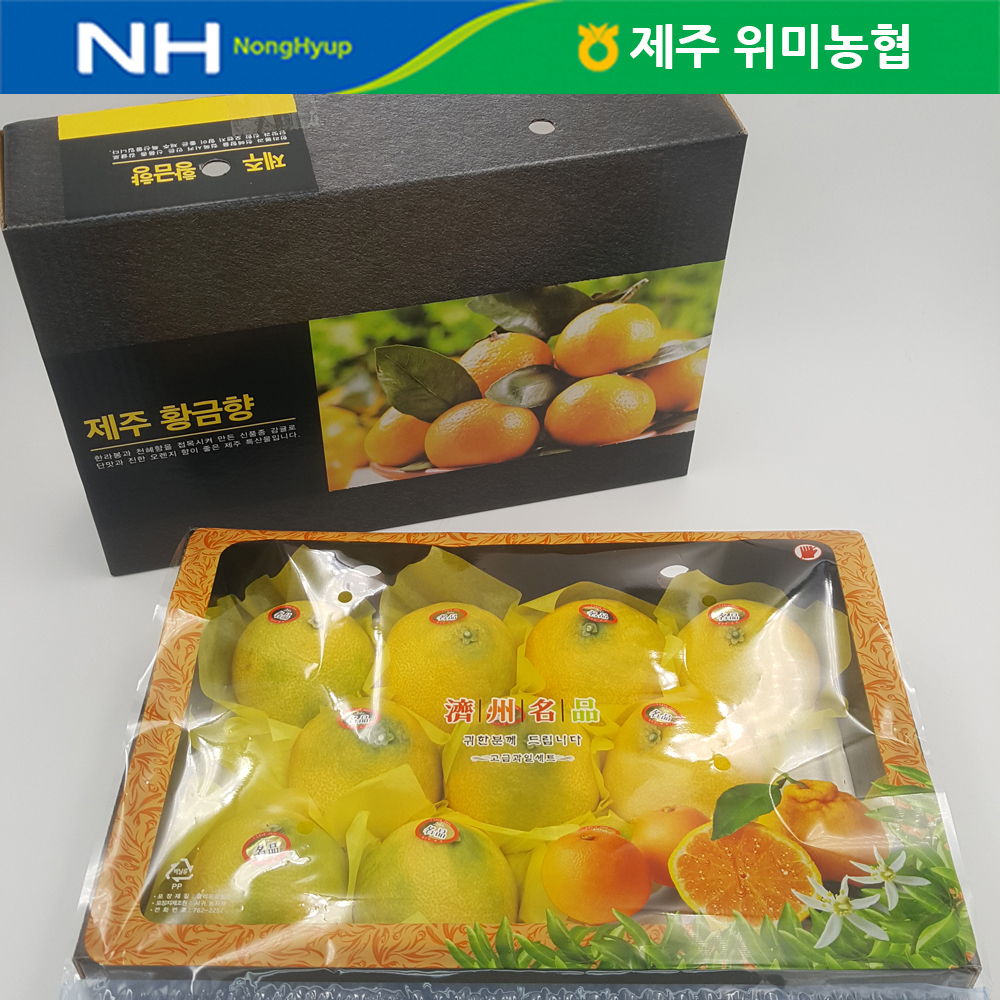 제주도 위미농협이 준비한 황금향 선물세트 
