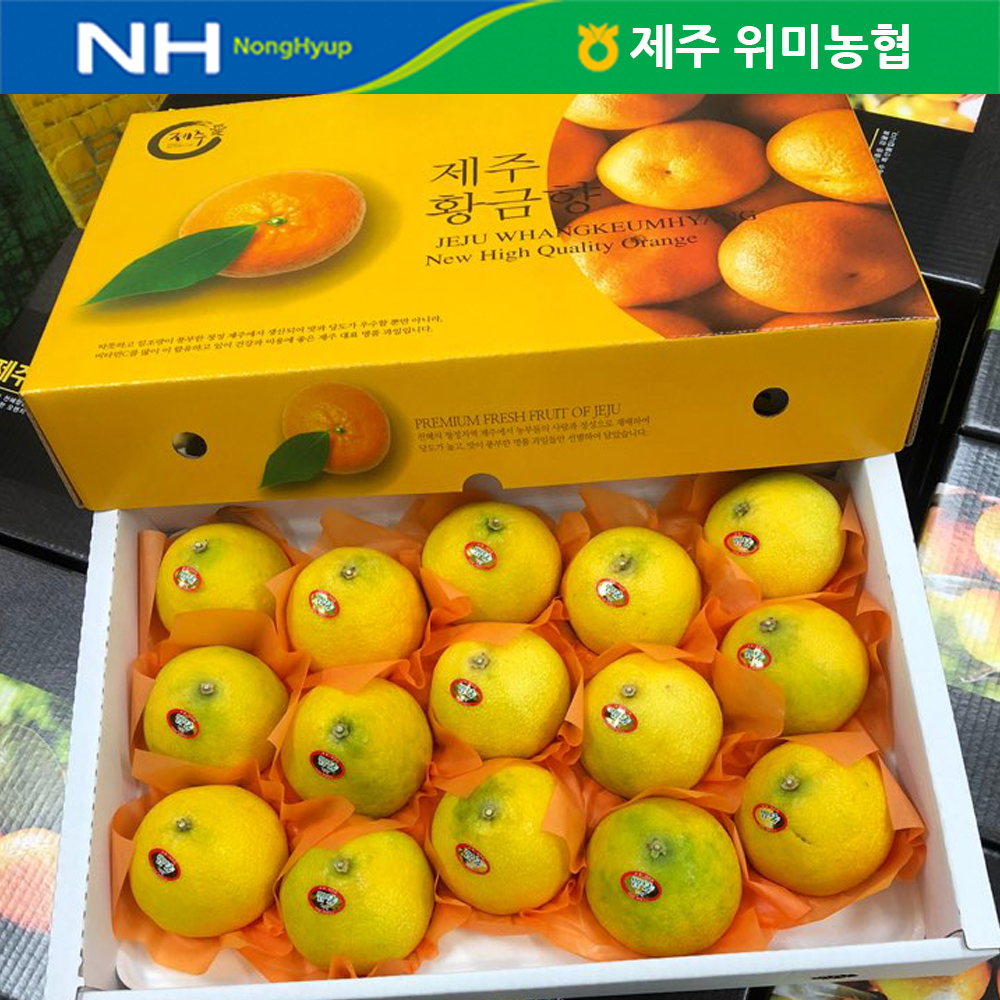 제주도 위미농협이 준비한 황금향 선물세트 