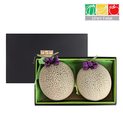 명절선물세트 국내산 머스크메론 세트 2수(4kg내외) 대표이미지 섬네일