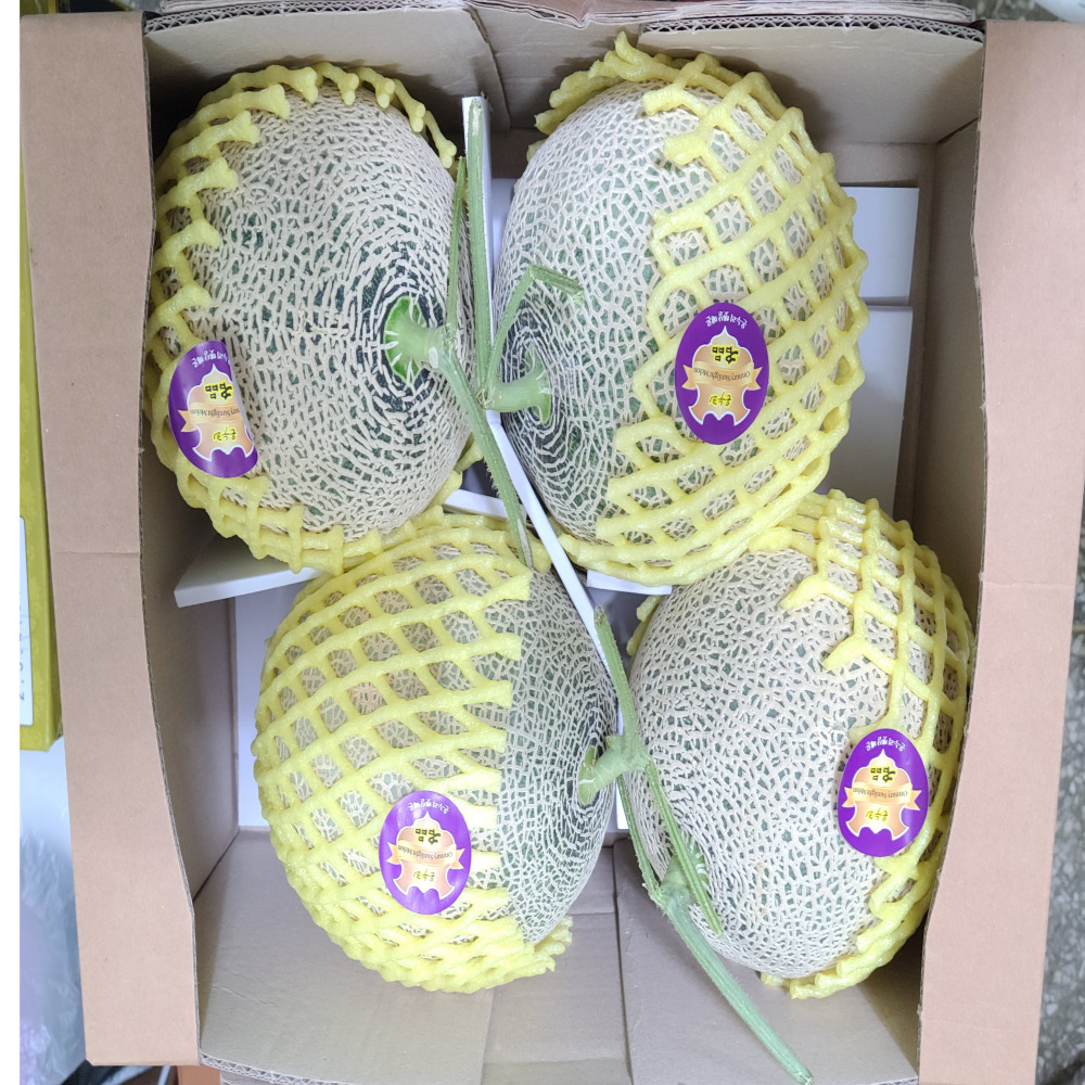 국내산 머스크 멜론 3.5kg(2수) / 8kg(3~4수)