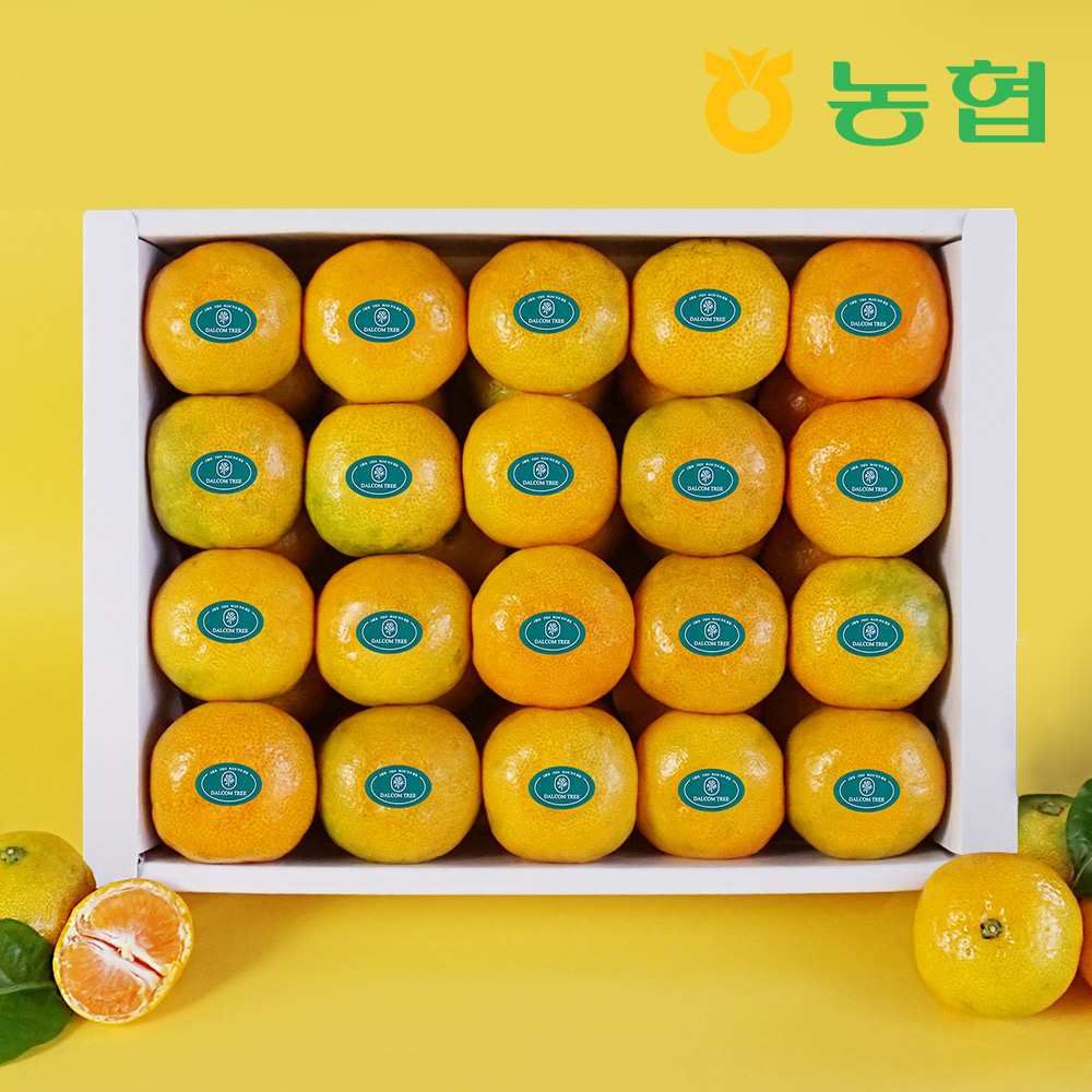 [농협] 제주 감귤 선물세트 (1.5~3Kg)