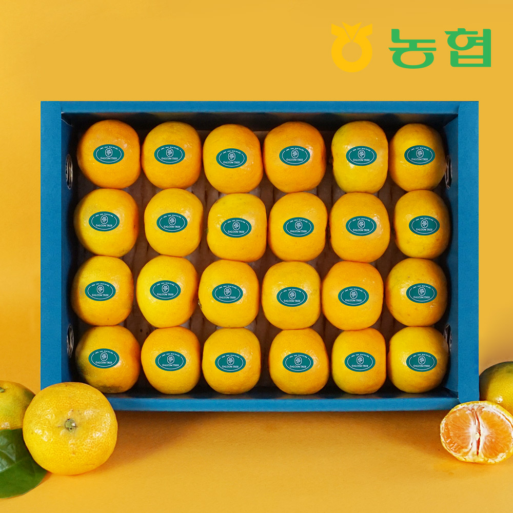 [농협] 제주 감귤 선물세트 (1.5~3Kg)