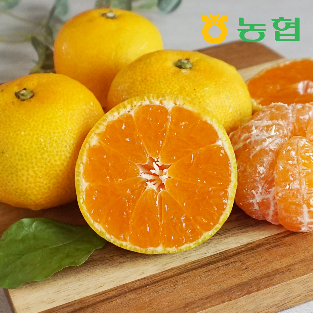 [농협] 제주 감귤 선물세트 (1.5~3Kg)