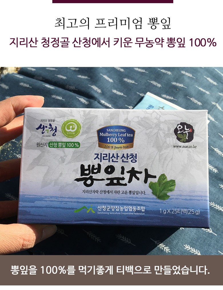 GAP 지리산 산청 뽕잎차 100티백