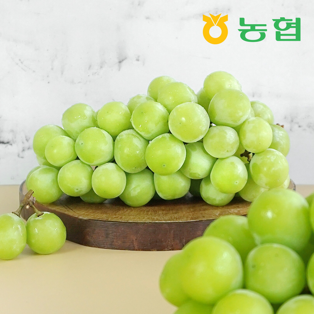 아삭달콤 샤인머스켓 선물세트 명품1호 (2kg/3입)