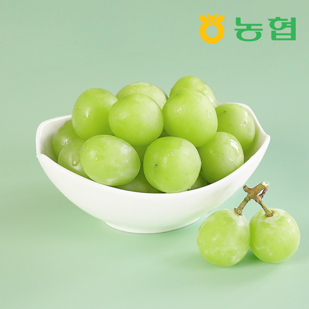 아삭달콤 샤인머스켓 선물세트 명품1호 (2kg/3입)