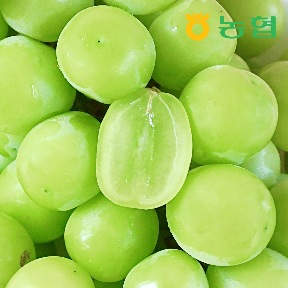 아삭달콤 샤인머스켓 선물세트 명품1호 (2kg/3입)