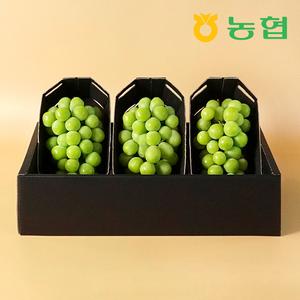 아삭달콤 샤인머스켓 선물세트 명품1호 (2kg/3입) 대표이미지 섬네일