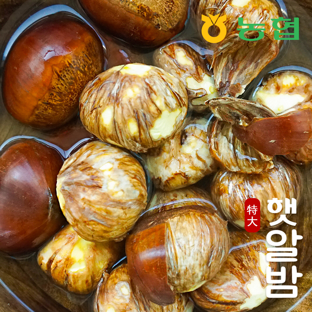 [농협] 토실토실 햇밤 순창 알밤 특대 (1~10kg) (제수용)