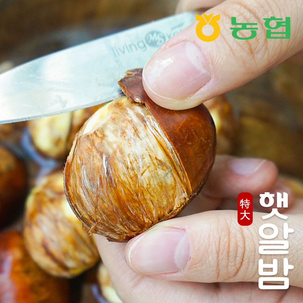 [농협] 토실토실 햇밤 순창 알밤 특대 (1~10kg) (제수용)