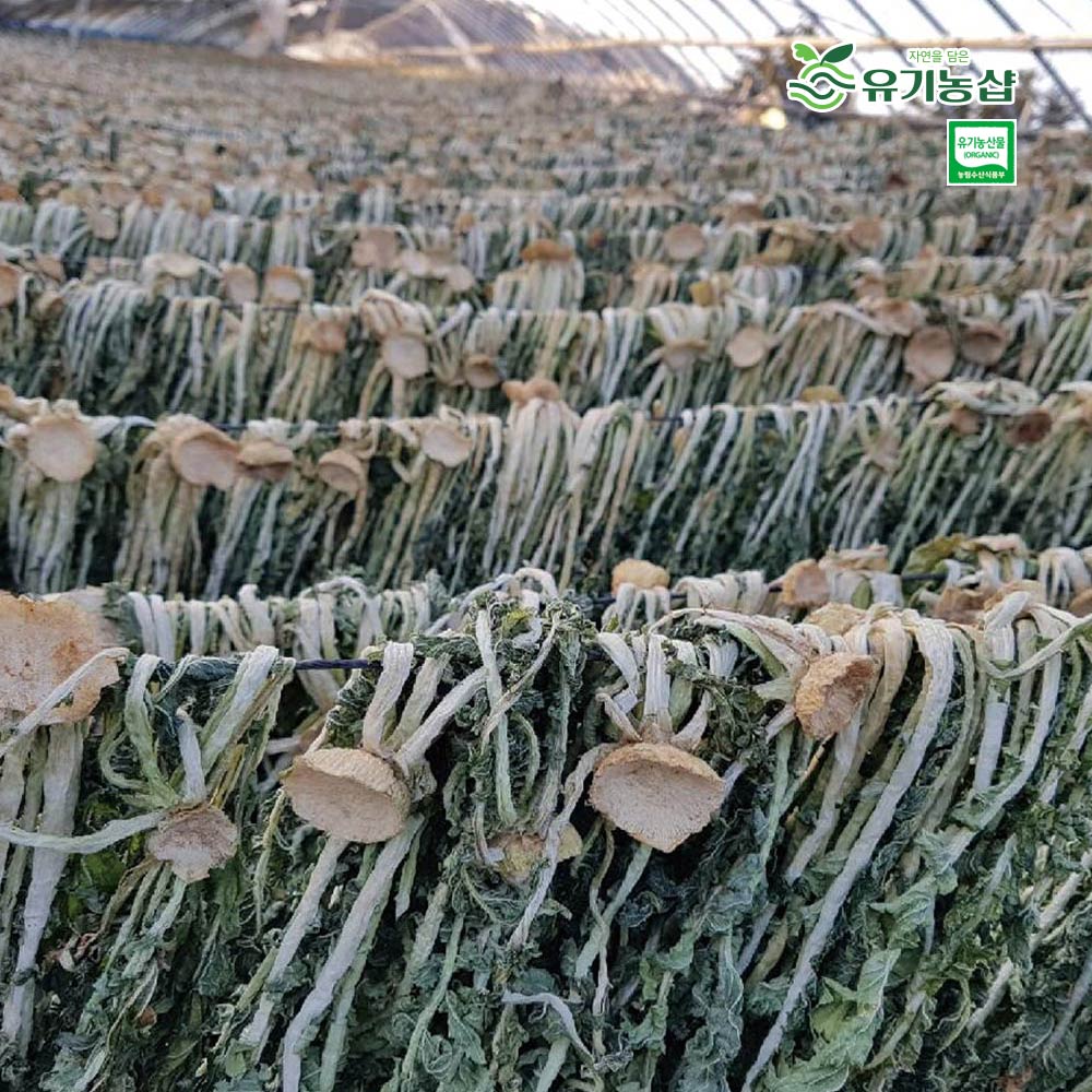 [초록한입]유기농 무청시래기 500g(자연건조) + 건강즙 증정