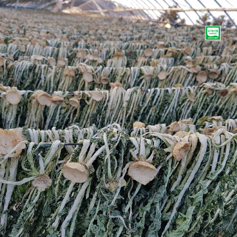 [초록한입]유기농 무청시래기 100g(자연건조) + 건강즙 증정