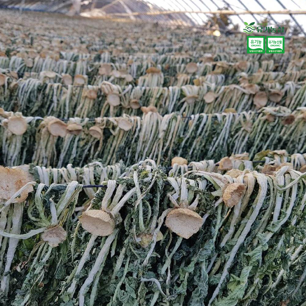 [초록한입]유기농 무청시래기 100g(자연건조) + 건강즙 증정