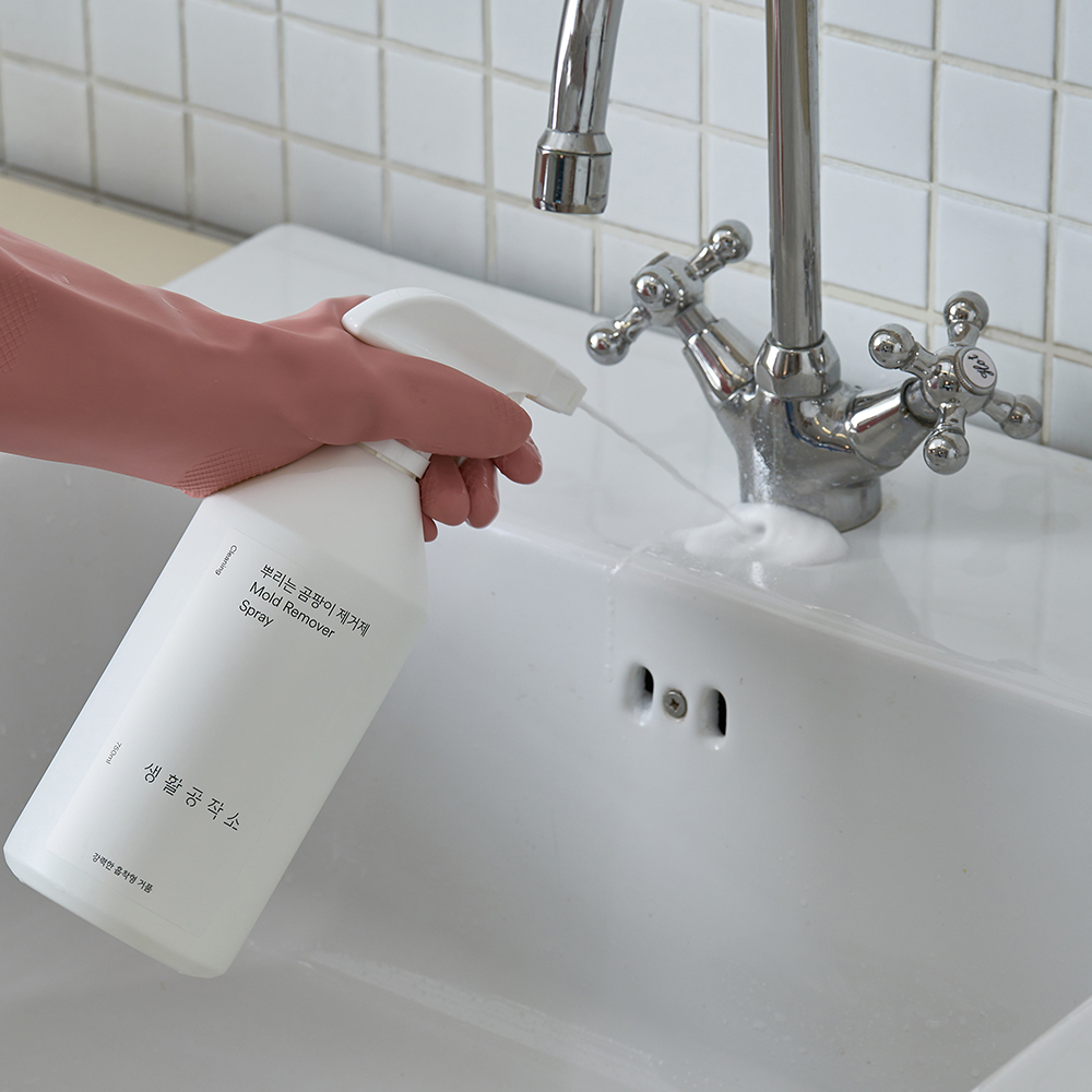생활공작소 뿌리는 곰팡이제거제 750ml x 3입 사과향
