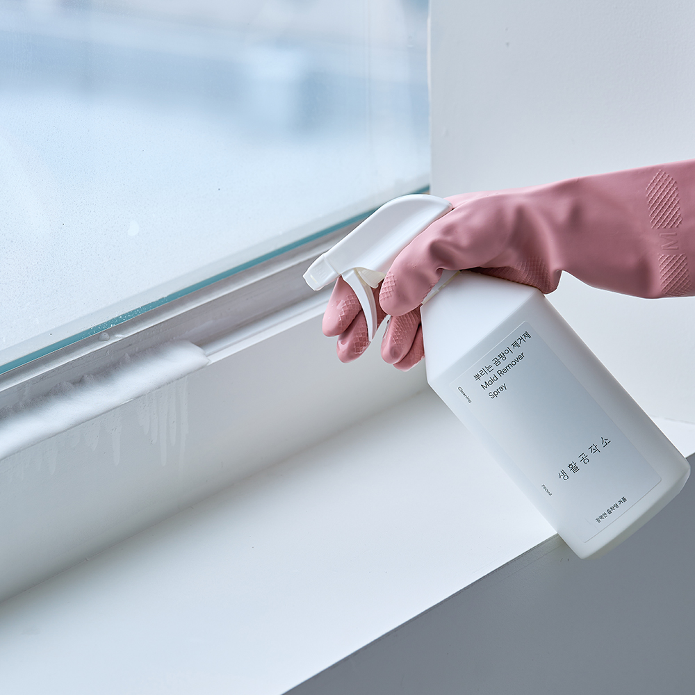 생활공작소 뿌리는 곰팡이제거제 750ml x 3입 사과향