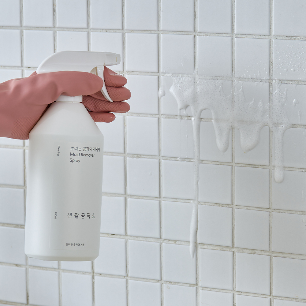 생활공작소 뿌리는 곰팡이제거제 750ml x 3입 사과향