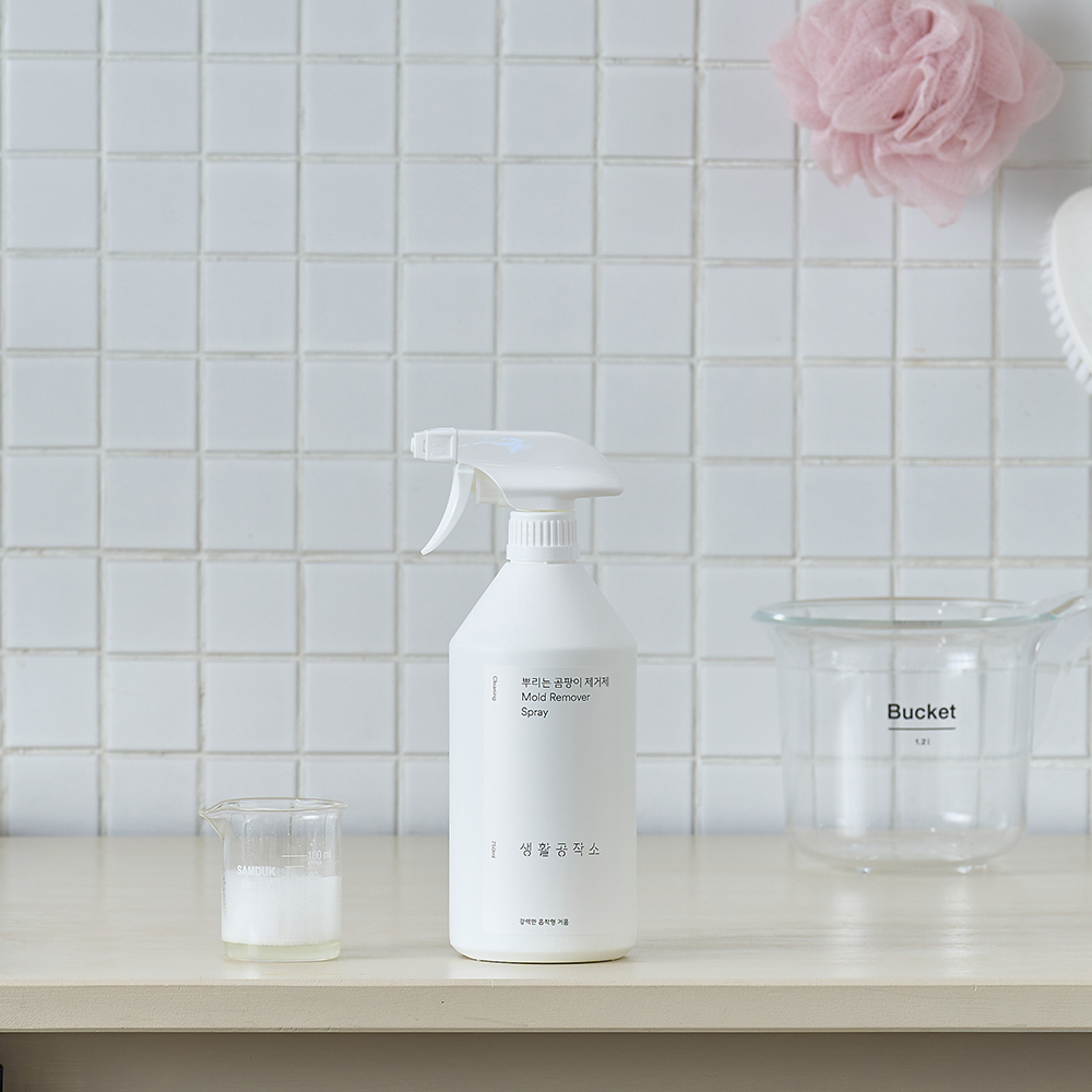 생활공작소 뿌리는 곰팡이제거제 750ml x 3입 사과향