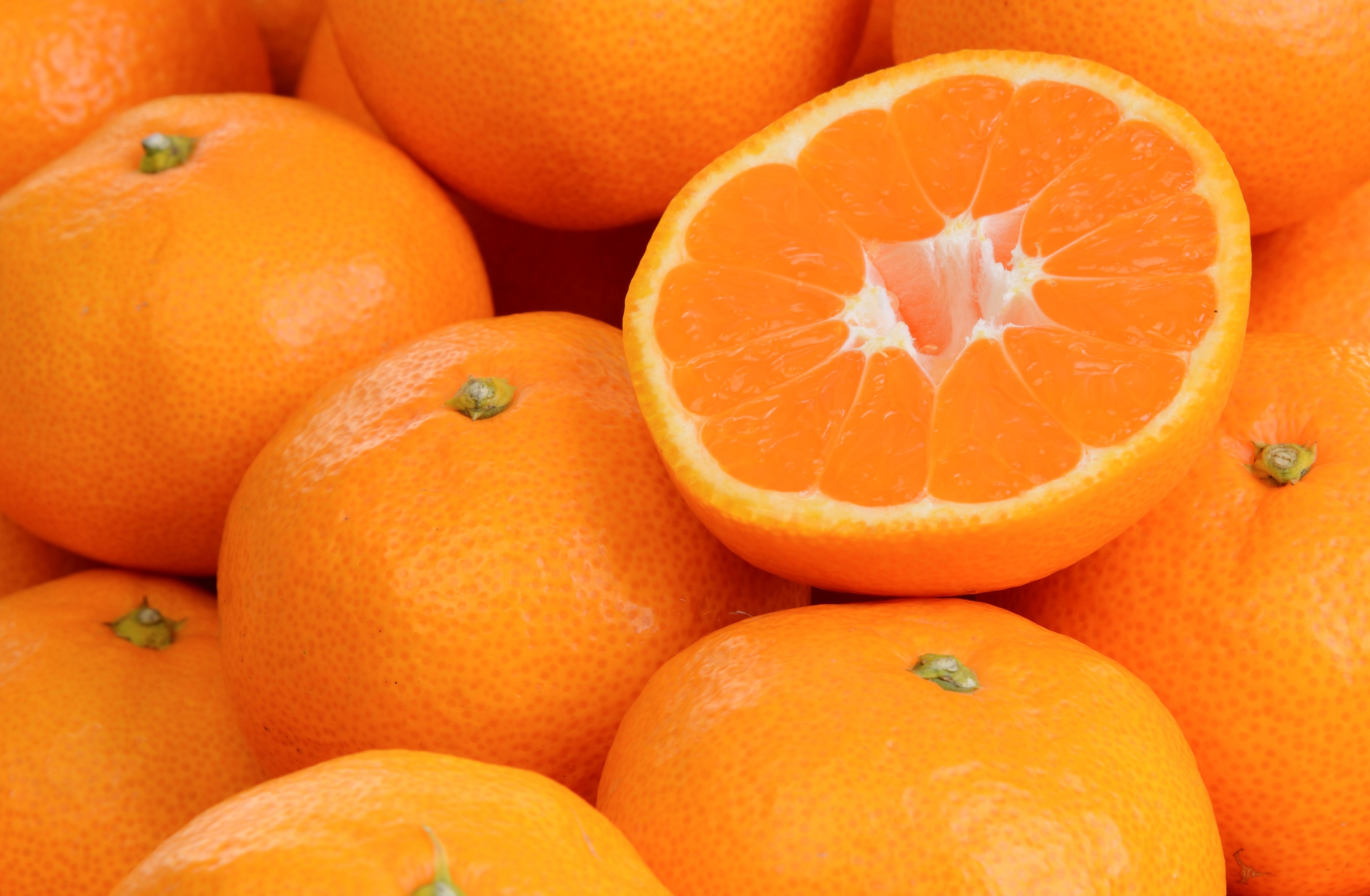 제주 햇 노지감귤 5kg/10kg 택 대표이미지 섬네일