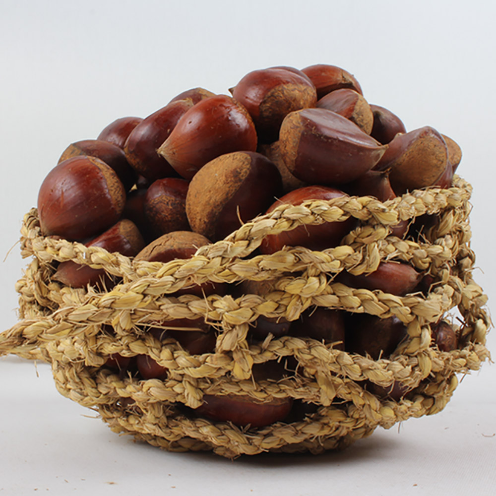 광양 햇밤 5kg(중,대,특) /옵션선택