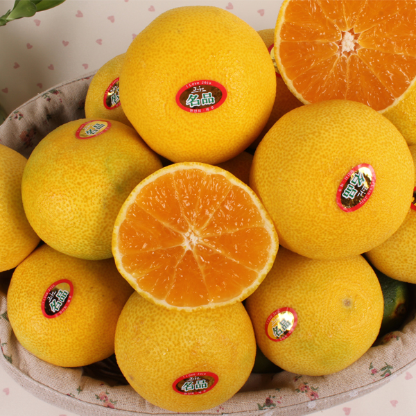 대진작목반 제주 황금향 3kg, 5kg /옵션선택