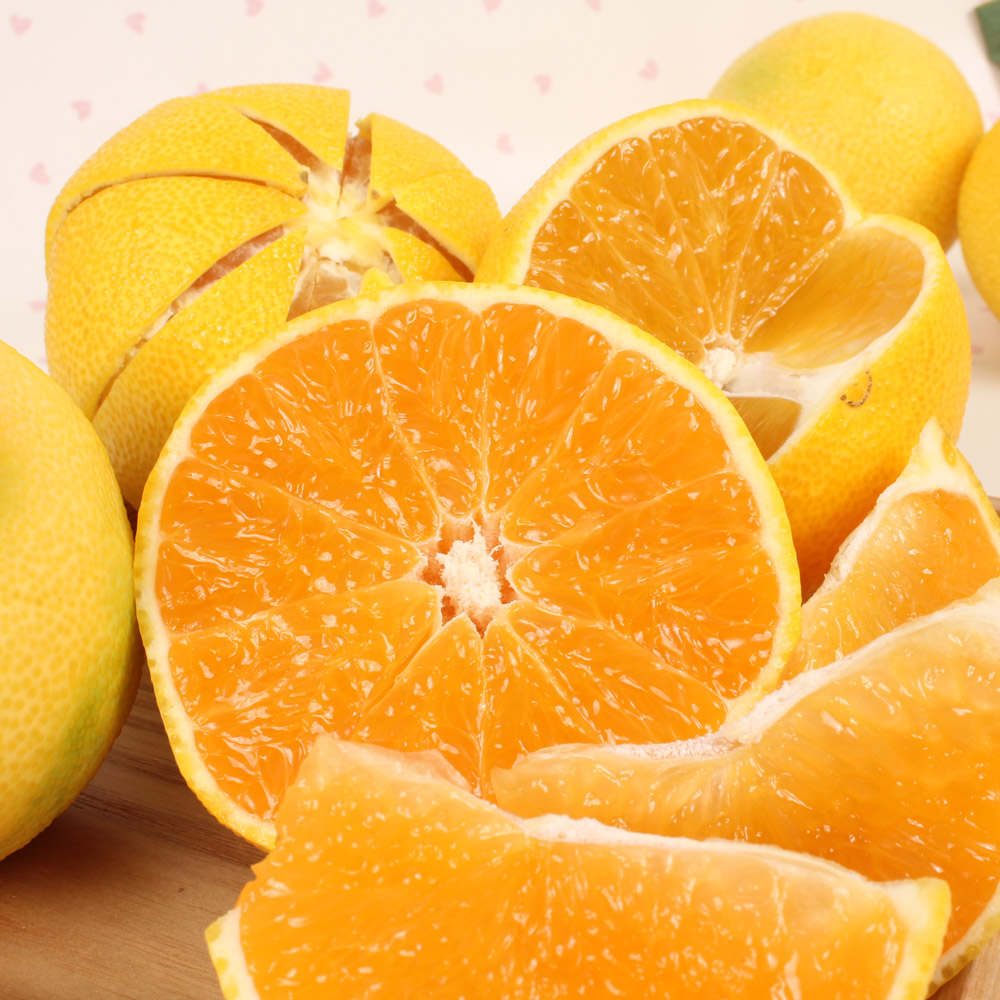 대진작목반 제주 황금향 3kg, 5kg /옵션선택