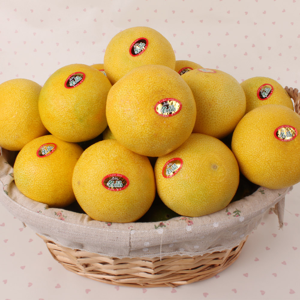 대진작목반 제주 황금향 3kg, 5kg /옵션선택