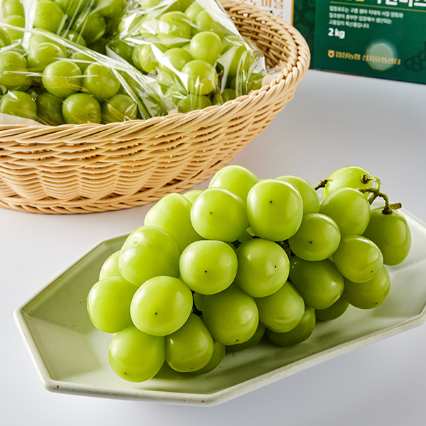입장 샤인머스캣(2-4수/2kg)