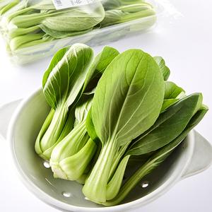 국내산 청경채 (200g) 대표이미지 섬네일