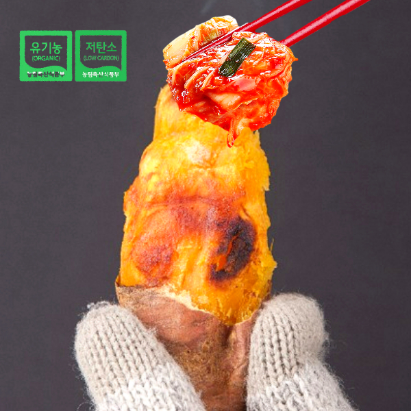 유기농 저탄소 인증 무안 황토랑 꿀밤고구마 베니하루카 3Kg 5Kg 10Kg
