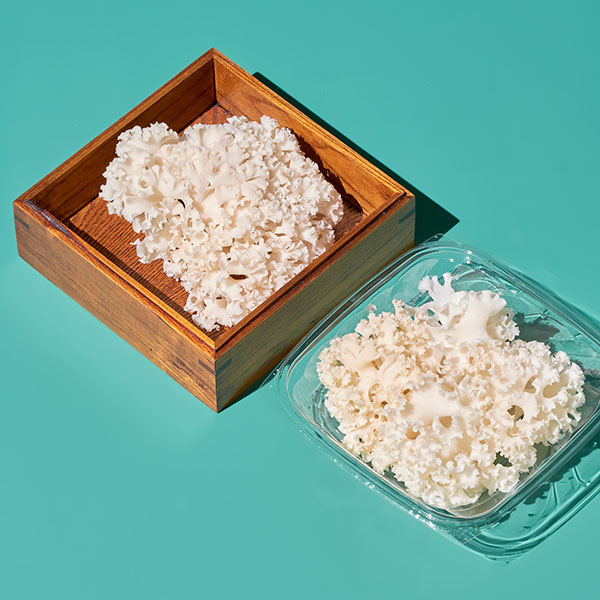 무농약 꽃송이버섯(100g)