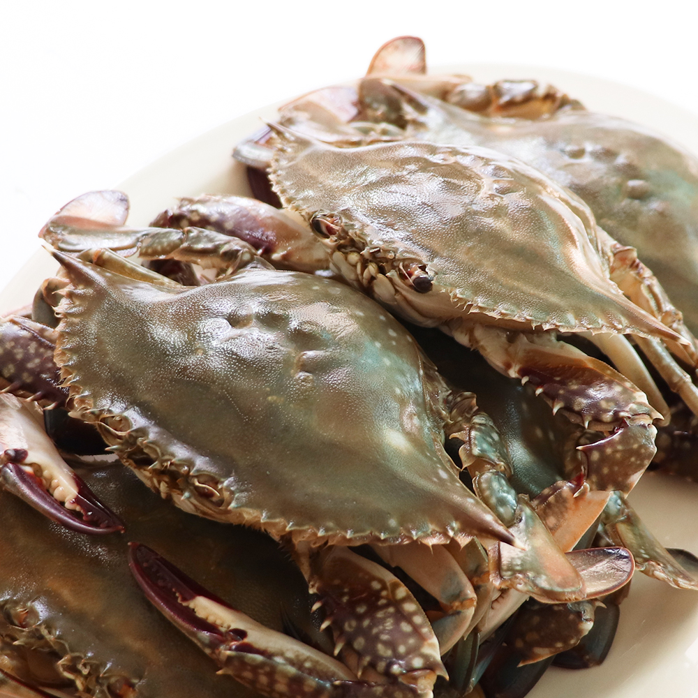 짜지 않은 저염식 수제 국산 꽃게 간장게장 1.5kg(2~3마리)