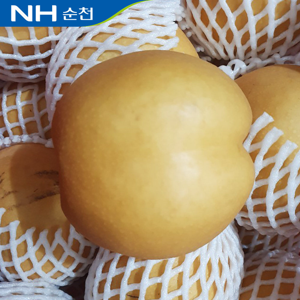 국내산 순천 배 5kg(6-9과) 가정용